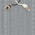 Листовка