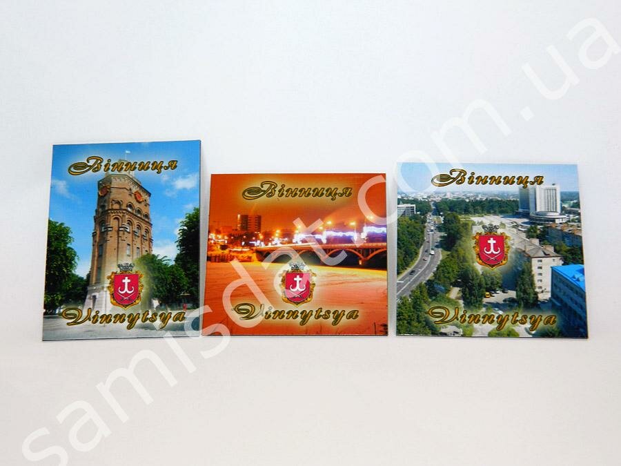 Магнит виниловый