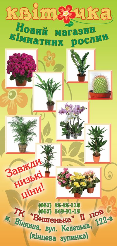 Печать флаеров